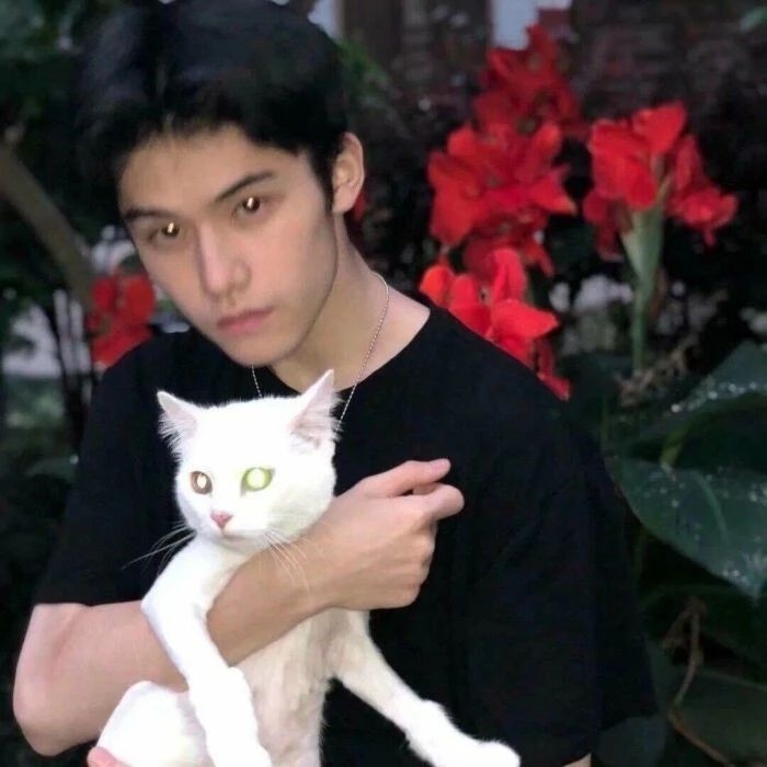 爷的魅力你不懂的第一张照片--漳浦征婚网