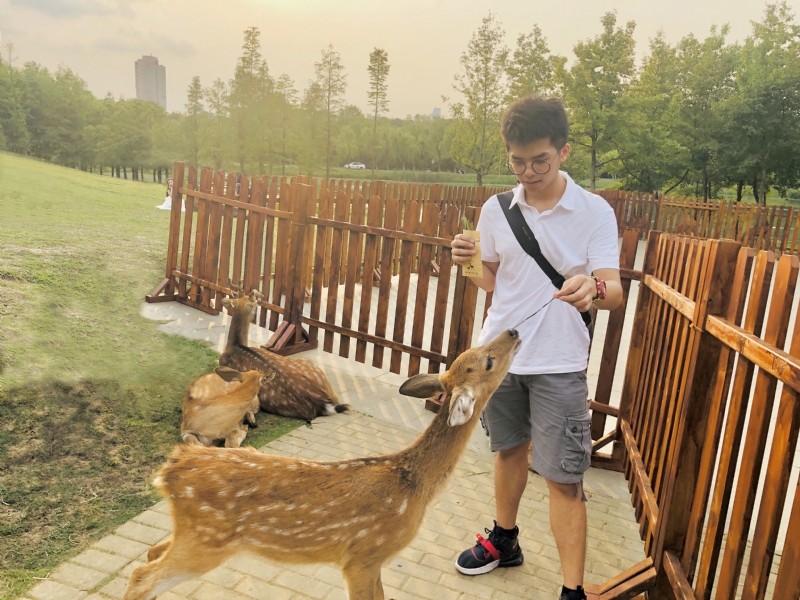 米兰的小铁匠的第一张照片--漳浦征婚网